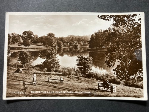 Beside the lake - the,