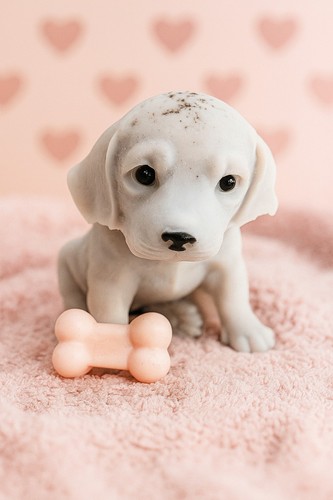 Labrador puppy candle - candle,