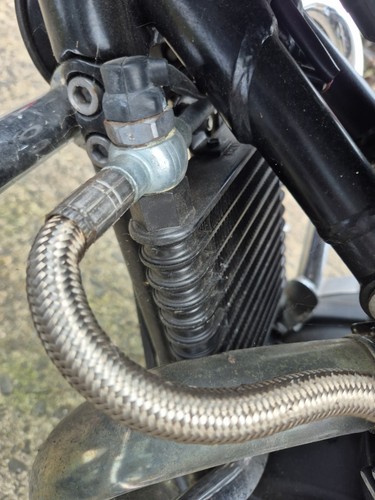 Triumph bonneville oil cooler - bonneville,