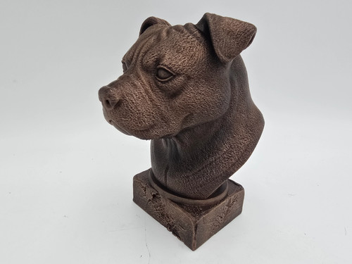 American bully bust - american,