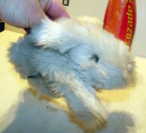 White and grey - grey, rabbit