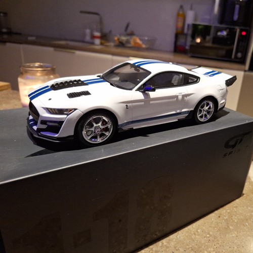 Spirit gt306 ford - gt,