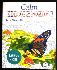 Large Print Colour by Numbers