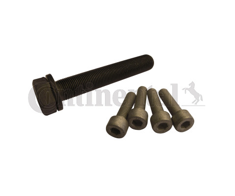 Bolt set crankshaft pulley - set,,