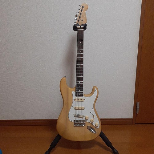 Stratocaster type component - stratocaster,