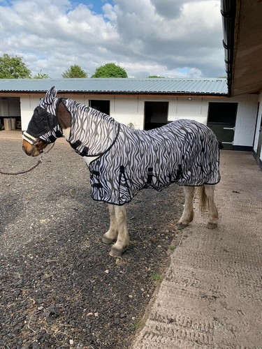Zebra fly rug with belly - , &