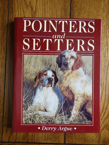 Pointers and setters derry - pointers,