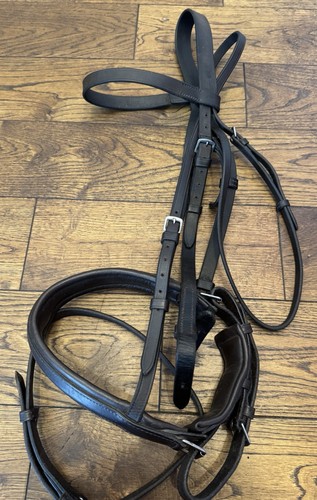 Sabre brown cob - sabre, english