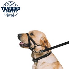 Ancol Nylon Dog Training