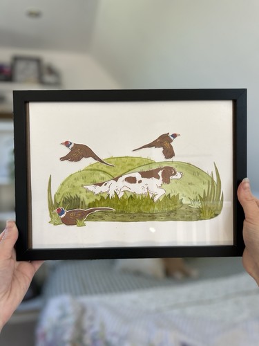 Springer spaniel pheasant a4 - springer,