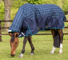 Mark Todd - 6.9” full neck