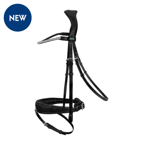 Passier bridle favorite - bridle,
