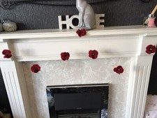 Poppy / Remembrance Day