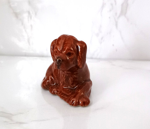 Wade red setter puppy - setter, lying