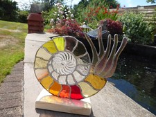 Stained Glass  Nautilus On A