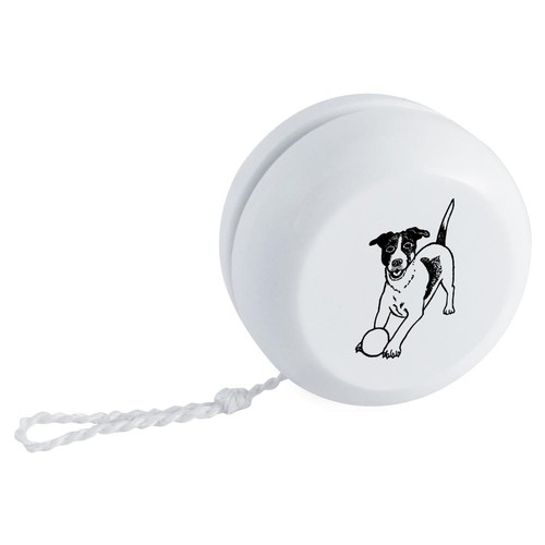 Playing jack russell - 'playing, russell'