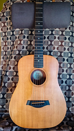 Baby taylor 301 - baby, 3/4