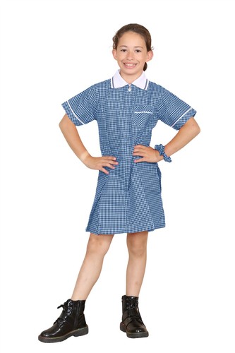 Girls school dress - girls,