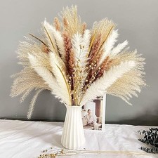 90Pcs Natural Dried Pampas