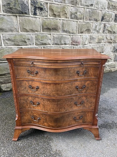 Antique burr walnut mahogany - burr, &