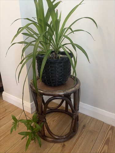 Vintage dark bamboo - vintage,