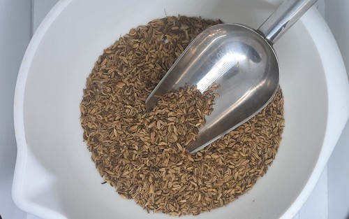 100g fennel whole seed - seed, 🌿