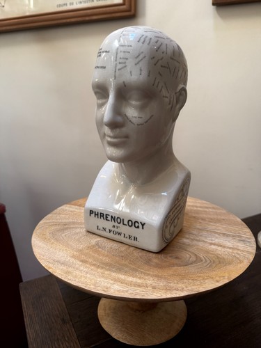 Phrenology head fowler - l.n,