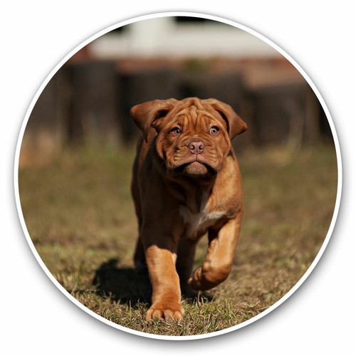 Vinyl stickers 20cm - stickers,