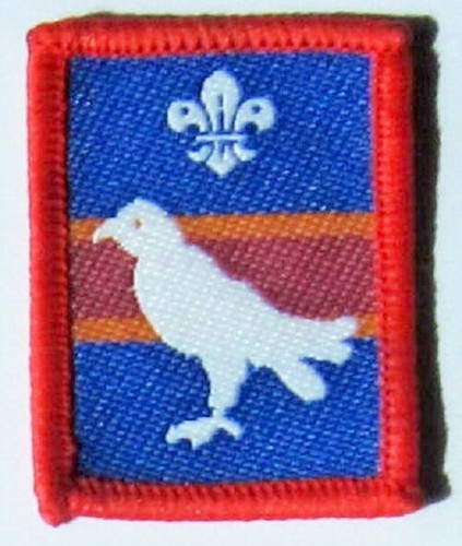 Scout patrol badge falcon - patrol,