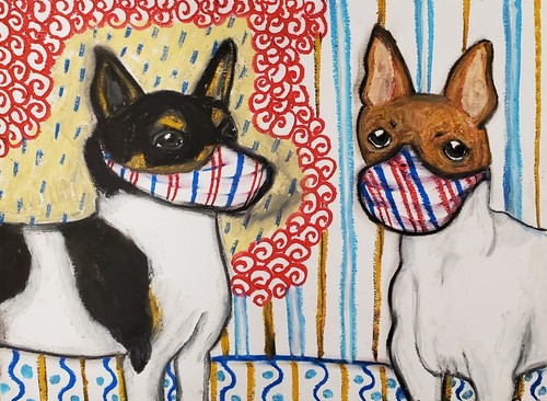 Toy fox terrier quarantine - toy,