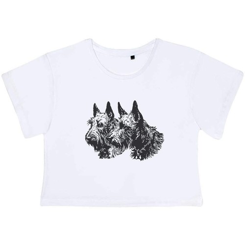 Scottish terrier couple - 'scottish,