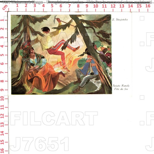 J7651 illustrator zofia - j7651,