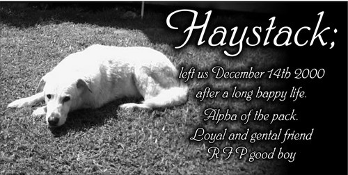 Personalized pet stone - personalized,