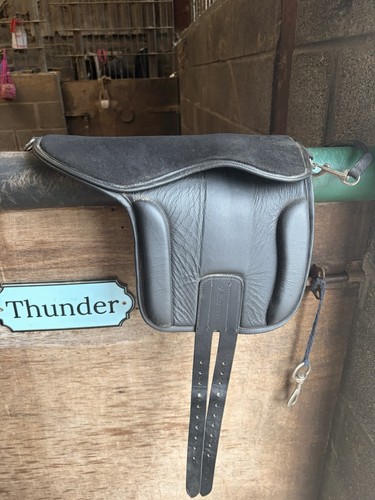 Pony pad breaking - pad, 15.5”