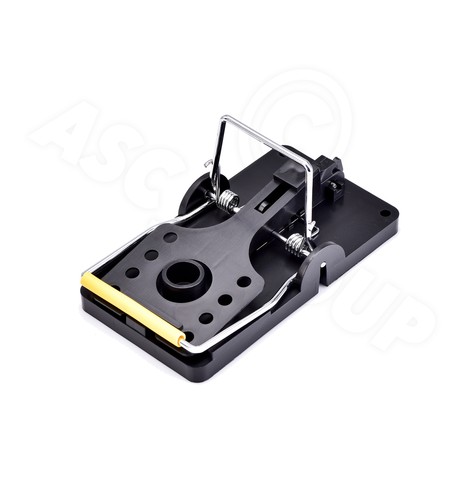 Mouse trap spring snap - snap,