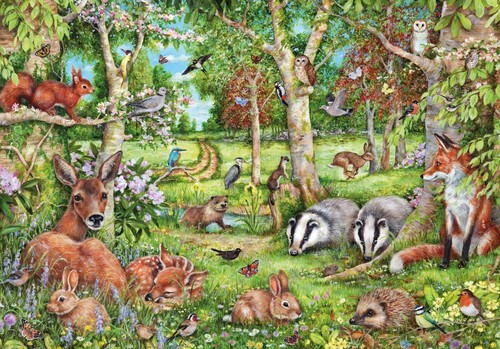 Woodland adventures 500 - woodland,