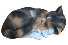 Sleeping Tortoiseshell Cat By
