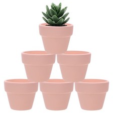 6-Pack Mini Terracotta Pots