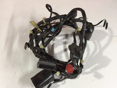 Wiring loom electrical system - loom,