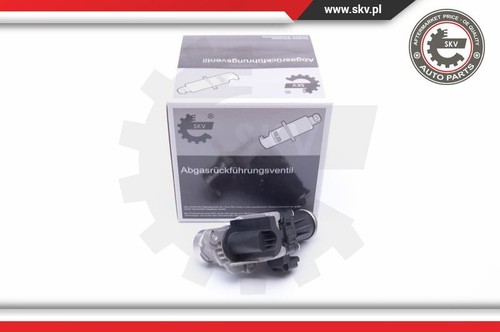 14skv185 esen skv - esen, egr