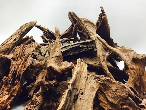 Random bogwood 25cm - bogwood, 20-25cm