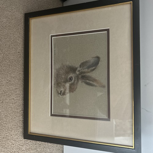 Joel kirk framed - joel, /