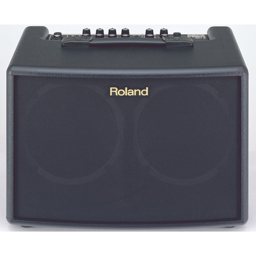 Roland acoustic guitar - roland,