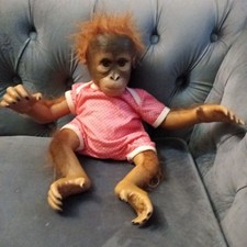 Annabelle's Hugs Monkey Doll