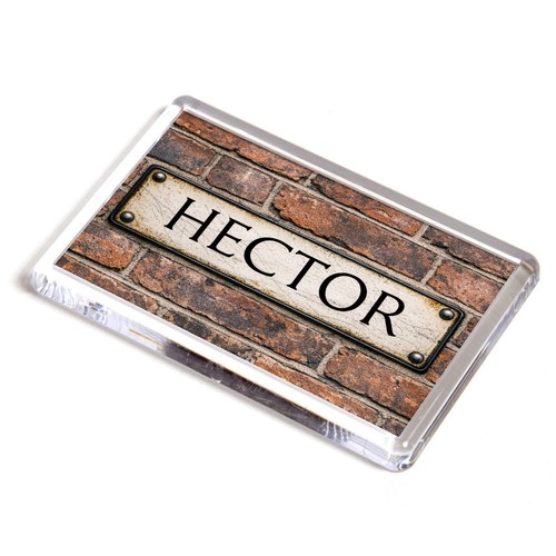 Fridge magnet hector - magnet,