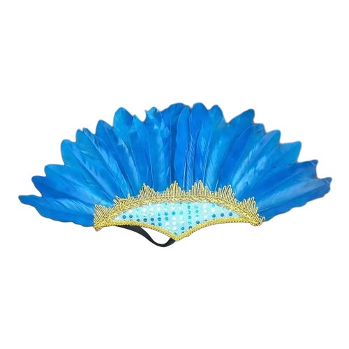 Feather headdress costume - headdress,