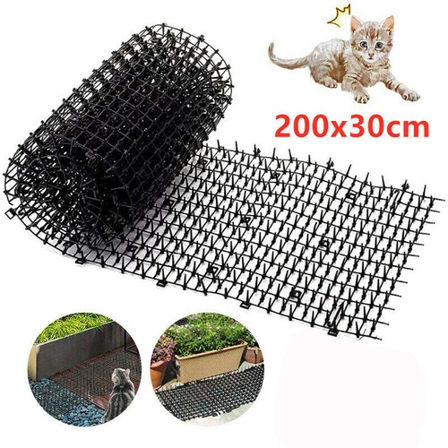 Cat scat mat spike - spike, anti-cat