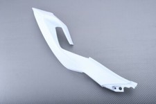 Right Side Unpainted Rear