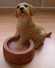 Original Sherratt & Simpson Golden Labrador Puppy With Bowl - Made In England