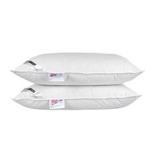Duck Feather & Down Pillows